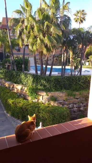 Planta Baja Cerca De La Playa Casares Costa 아파트 외부 사진